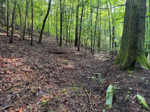 000 Tall Tree Trail #412, Dunlap, TN 37327