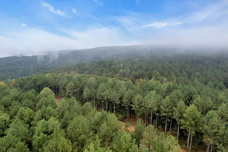 0 Crescent Court #Lot 2030, Guild, TN 37340 - #3