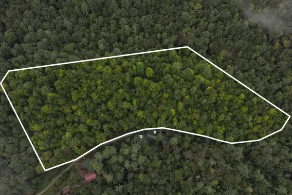 0 Redwood Lane, Ellijay, GA 30540