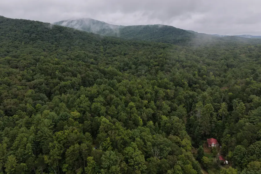 0 Redwood Lane, Ellijay, GA 30540 - #3