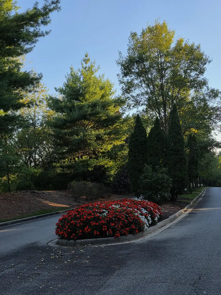 248 Lake Life Way, Loudon, TN 37774 - #2