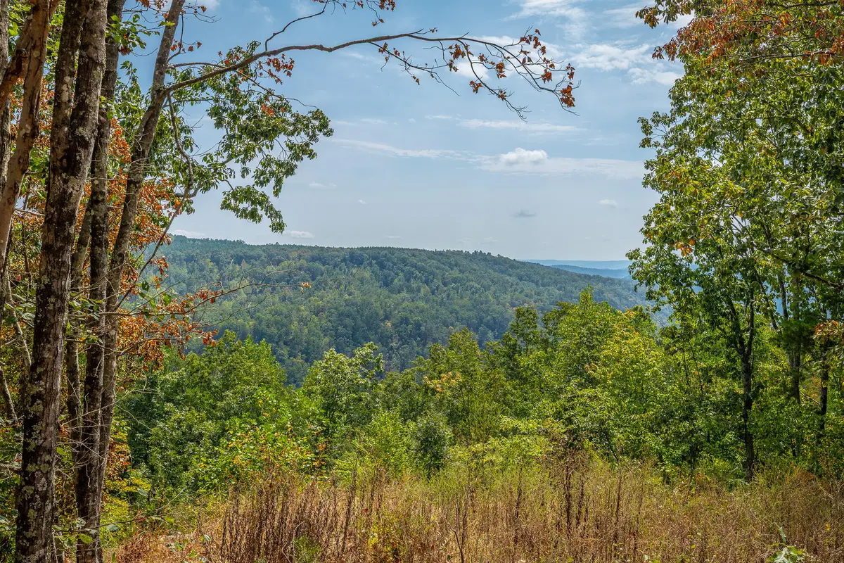 0 Split Rail Way #Lot 1358, Guild, TN 37340 - #1