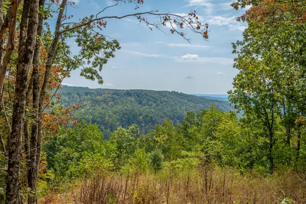 0 Split Rail Way #Lot 1358, Guild, TN 37340