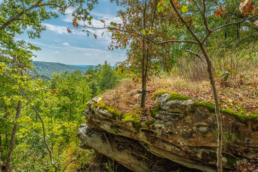 0 Split Rail Way #Lot 1358, Guild, TN 37340 - #2