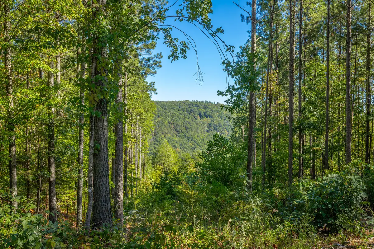 0 Split Rail Way #Lot 1372, Guild, TN 37340 - #1