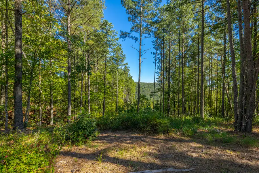 0 Split Rail Way #Lot 1372, Guild, TN 37340 - #2