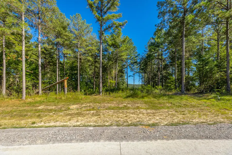 0 Split Rail Way #Lot 1372, Guild, TN 37340 - #3