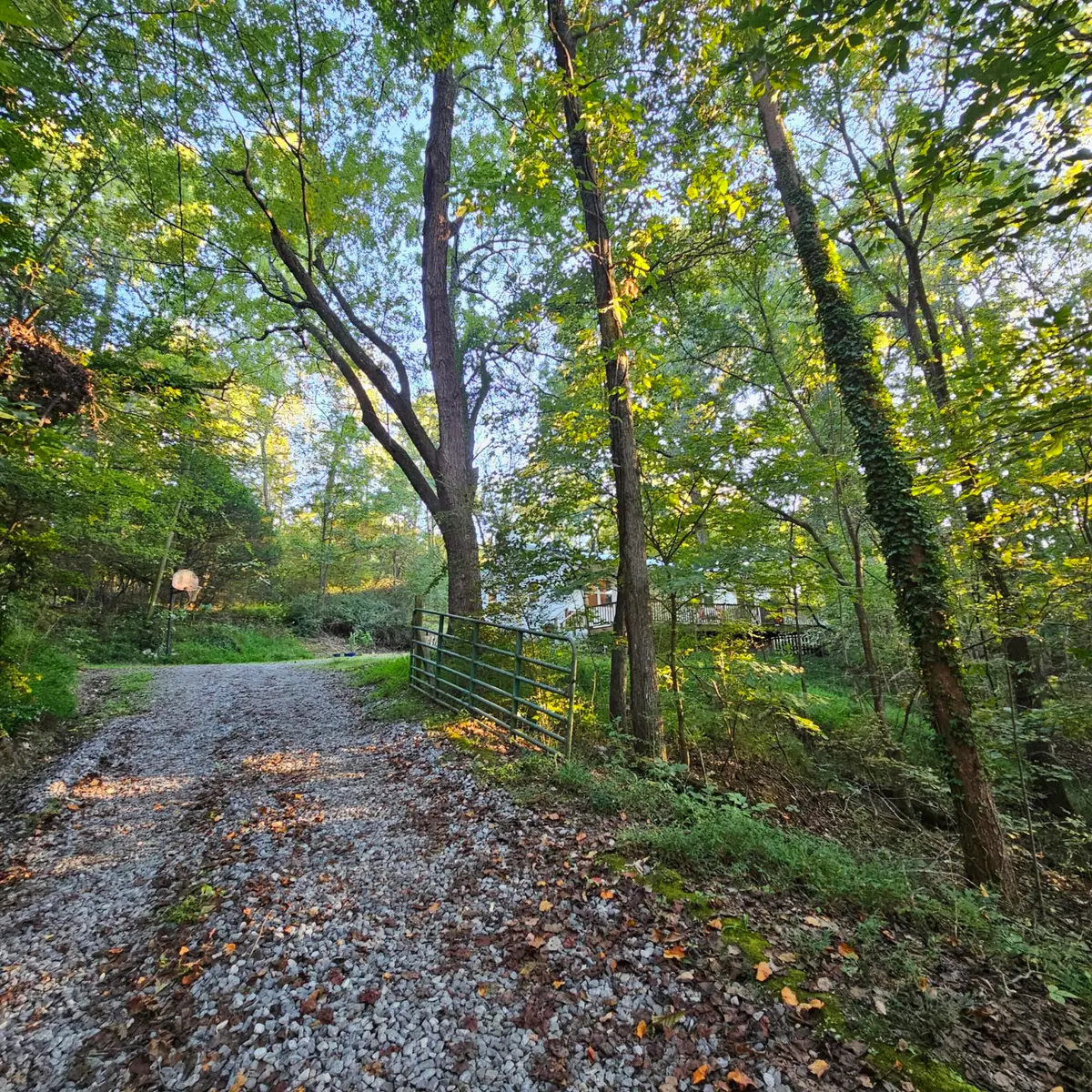 162 Phillips Hollow Road, Chickamauga, GA 30707 - #1