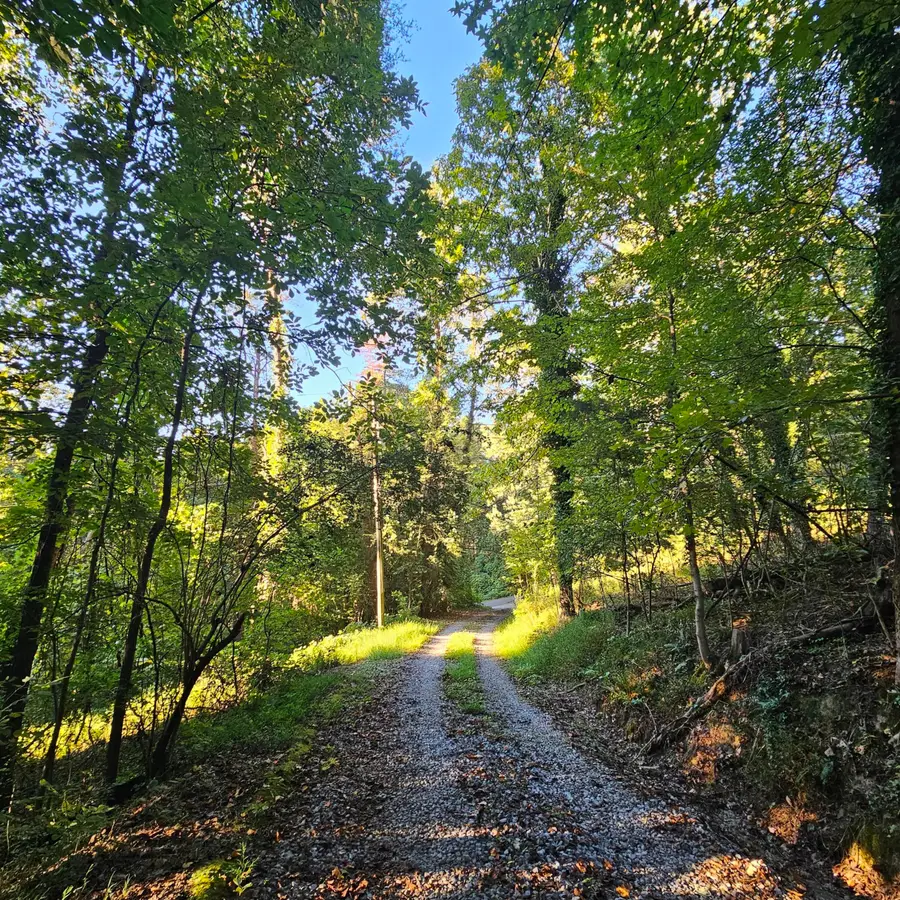 162 Phillips Hollow Road, Chickamauga, GA 30707 - #2