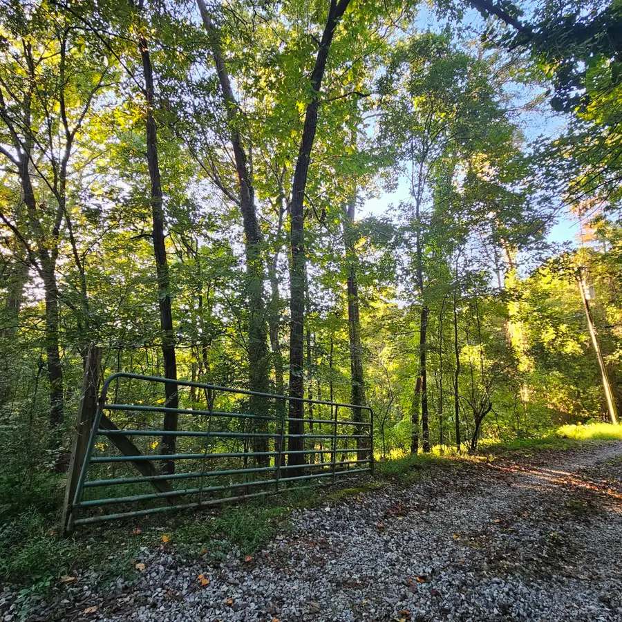 162 Phillips Hollow Road, Chickamauga, GA 30707 - #3