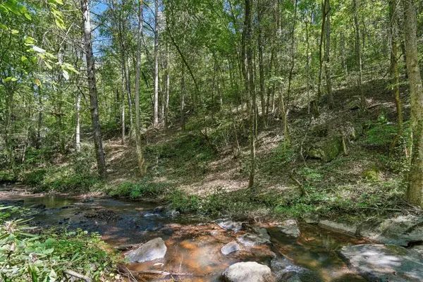 0 Dell Moore Road #Lot 3, Marble Hill, GA 30148