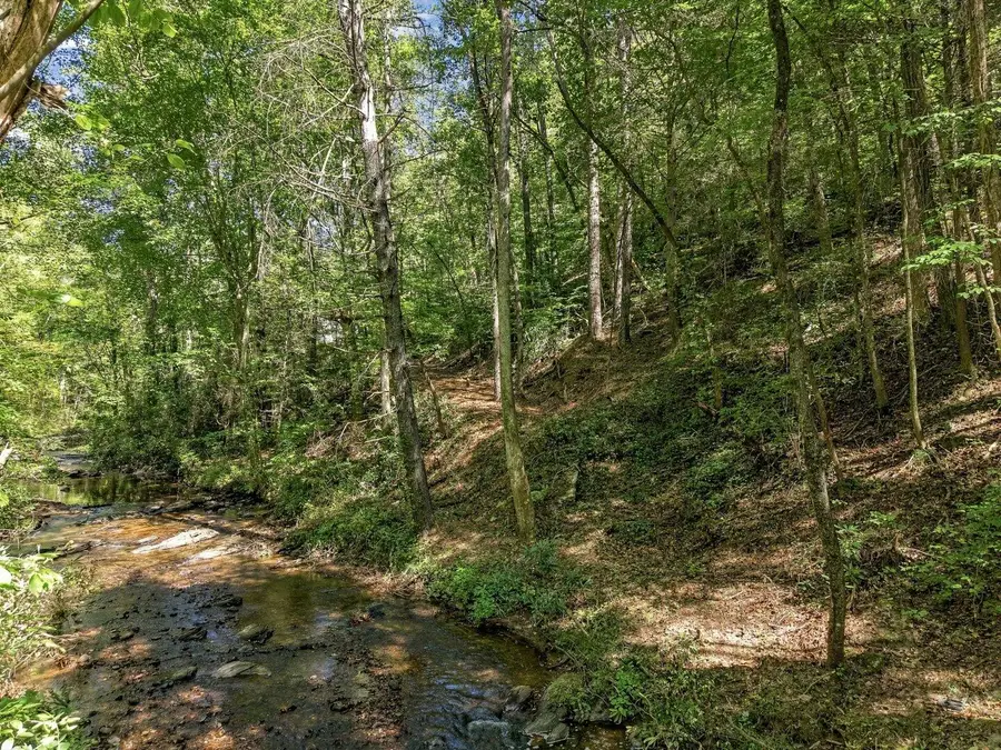 0 Dell Moore Road #Lot 3, Marble Hill, GA 30148 - #3