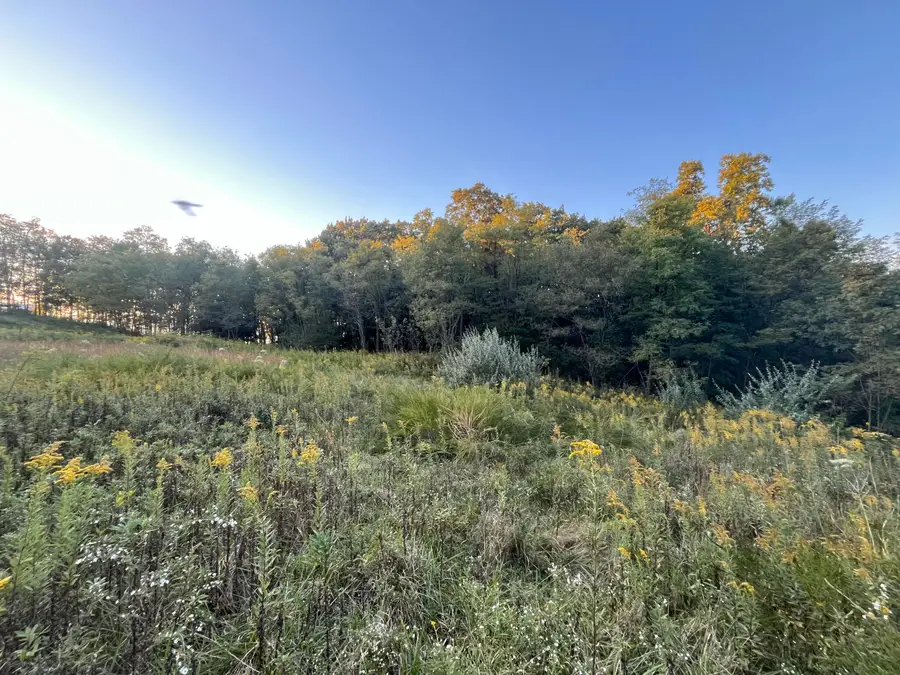 0 Mccarter Lane #Lot 95, 96, & 97, Signal Mountain, TN 37377 - #2