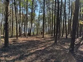0 Top Shelf Street #2128, Guild, TN 37340 - #3