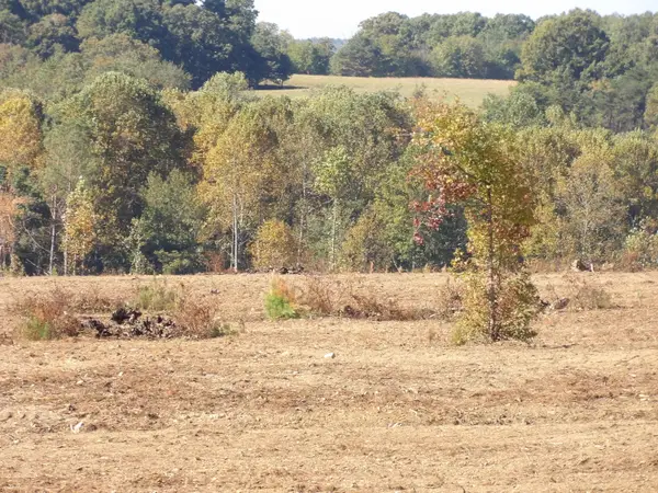 Lot 25a Summer City Road, Evensville, TN 37332
