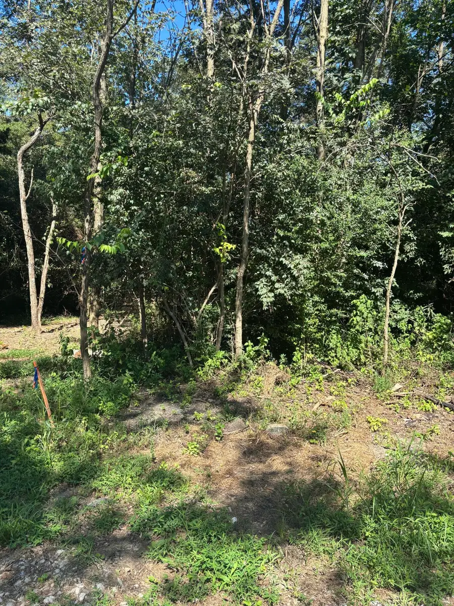 00 Sulee Circle, South Pittsburg, TN 37380 - #3