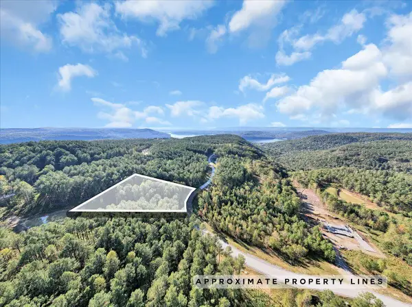 0 Birds Eye Way #1102, Guild, TN 37340