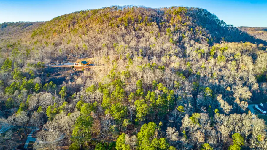 0 Dogwood Trail, South Pittsburg, TN 37380 - #2