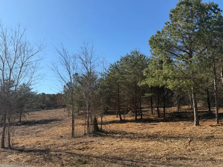 00 Majestic Heights, Ringgold, GA 30736 - #2