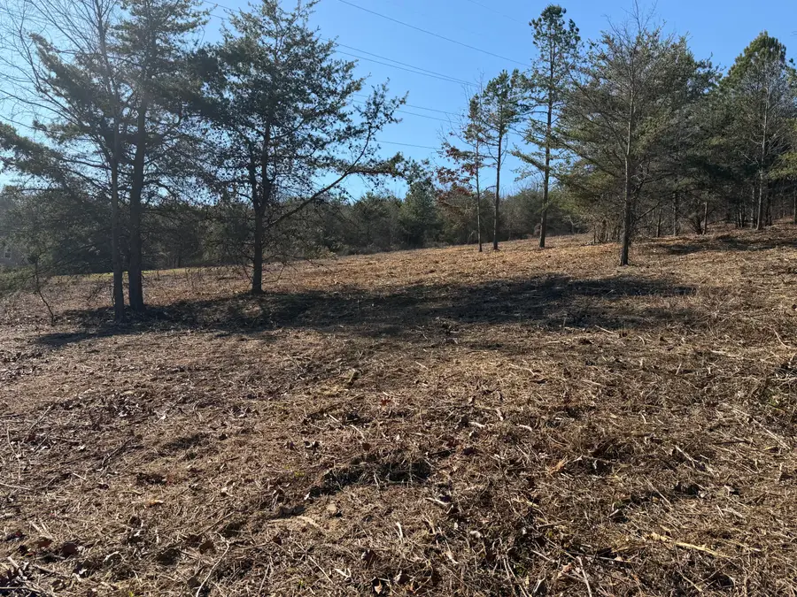 00 Majestic Heights, Ringgold, GA 30736 - #3