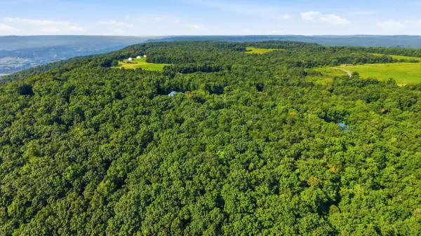 Lot 10 Big Bluff View, Pikeville, TN 37367
