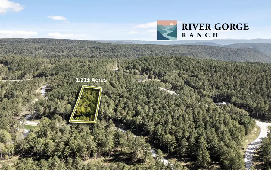 Lot 1110 Birds Eye Way, Guild, TN 37340 - #2