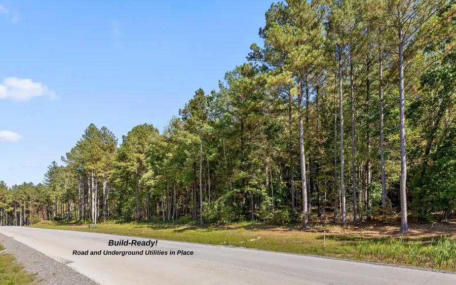 Lot 1110 Birds Eye Way, Guild, TN 37340 - #3