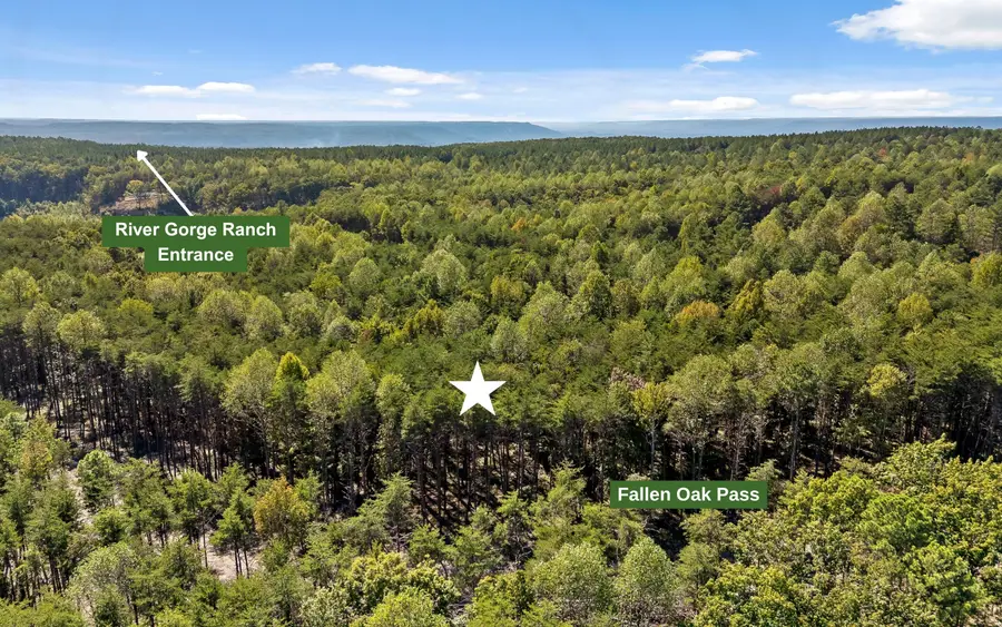 Lot 2160 Fallen Oak Pass, Guild, TN 37340 - #3