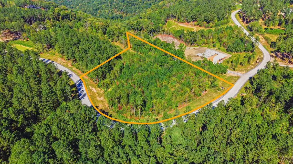 0 Birds Eye Way #Lot 1065, Guild, TN 37340 - #1