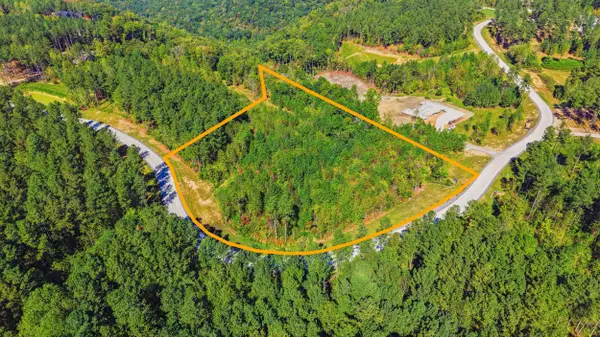 0 Birds Eye Way #Lot 1065, Guild, TN 37340