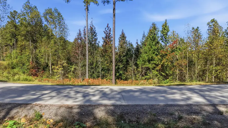 0 Birds Eye Way #Lot 1065, Guild, TN 37340 - #2