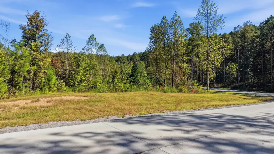 0 Birds Eye Way #Lot 1065, Guild, TN 37340 - #3