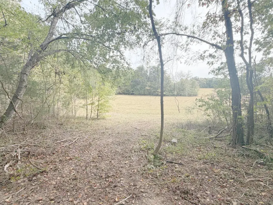 0 Black Oak Road, Sale Creek, TN 37373 - #3