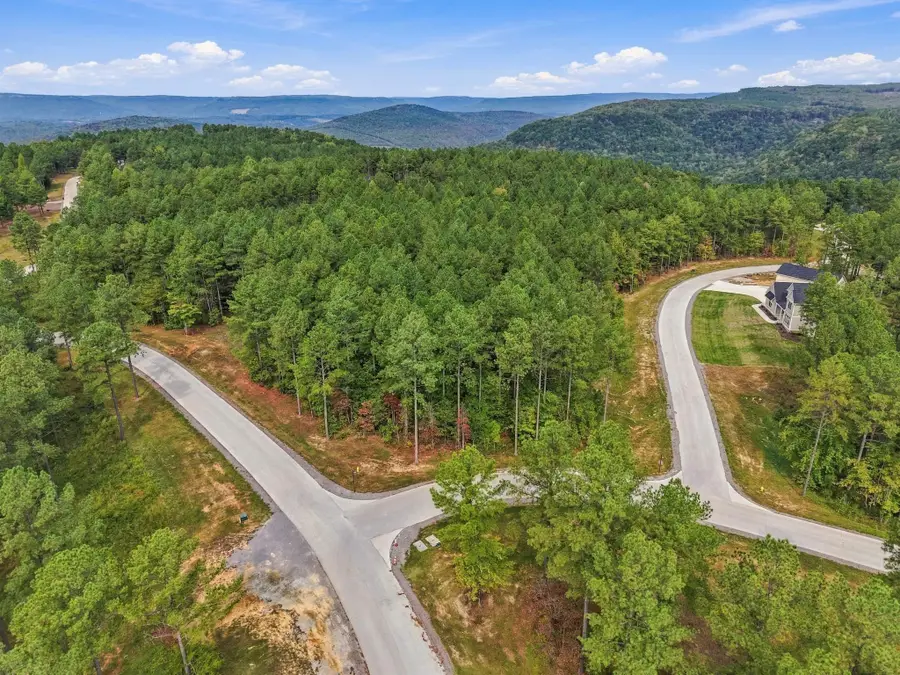 0 Buck Crossing Drive #1043, Guild, TN 37340 - #2