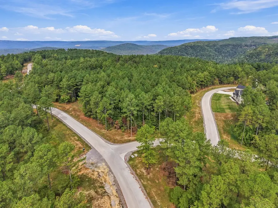 0 Buck Crossing Drive #1043, Guild, TN 37340 - #3