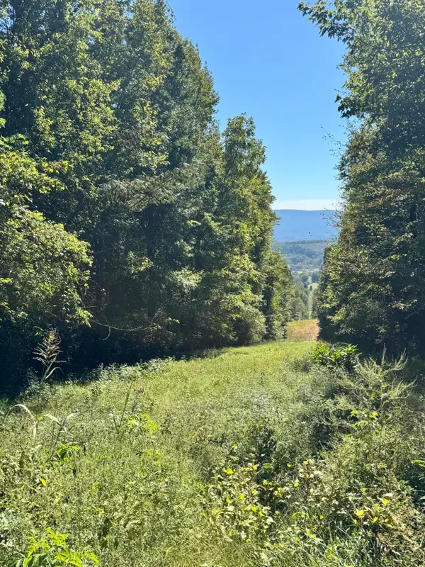00 Mountain View Drive, Whitwell, TN 37397