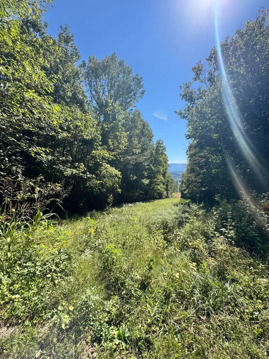 00 Mountain View Drive, Whitwell, TN 37397 - #2