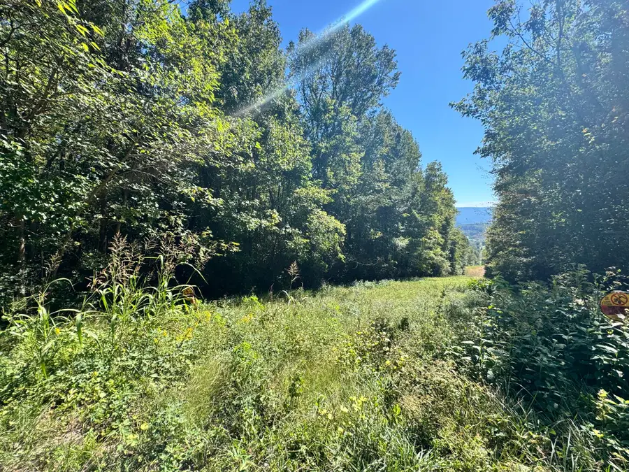 00 Mountain View Drive, Whitwell, TN 37397 - #3