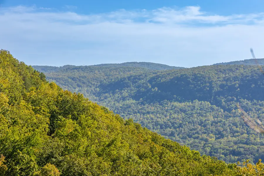 0 Buck Crossing Drive #Lot 1009, Guild, TN 37340 - #3