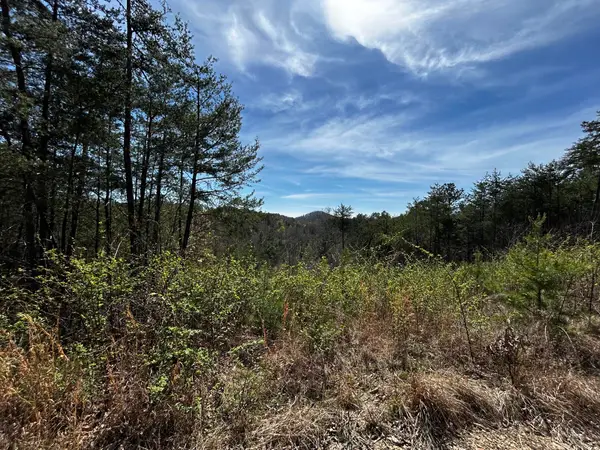 Tract 2 Owl Hollow Road Sw, McDonald, TN 37353