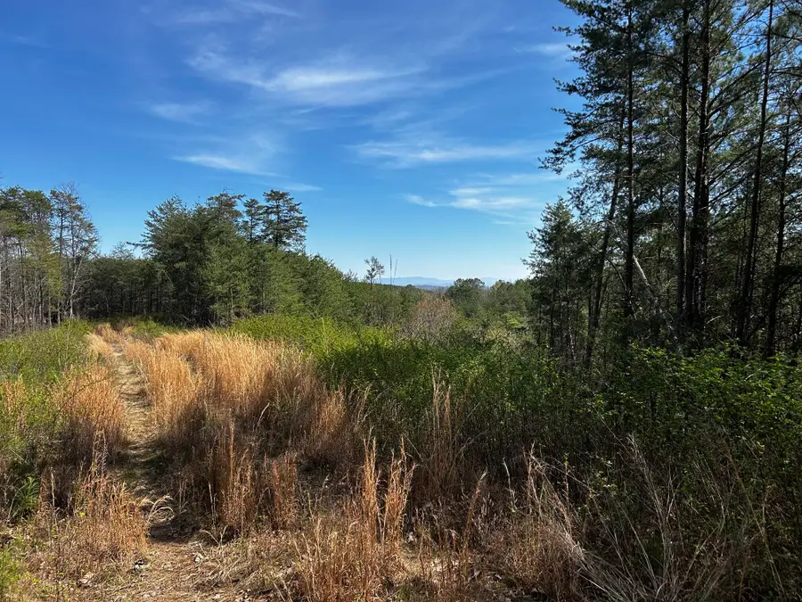 Tract 2 Owl Hollow Road Sw, McDonald, TN 37353 - #2