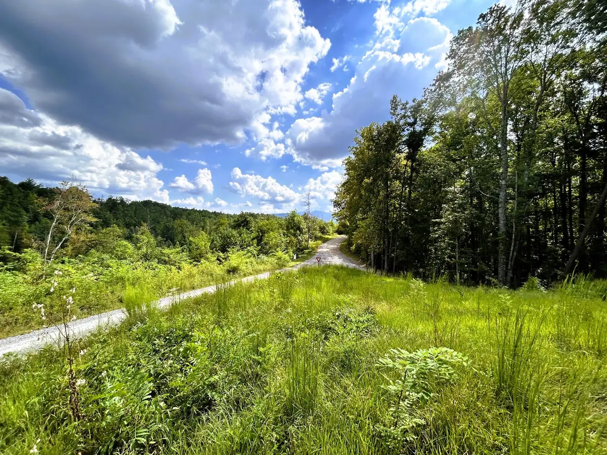 107 Chestnut Mountain Road, Reliance, TN 37369 - #1