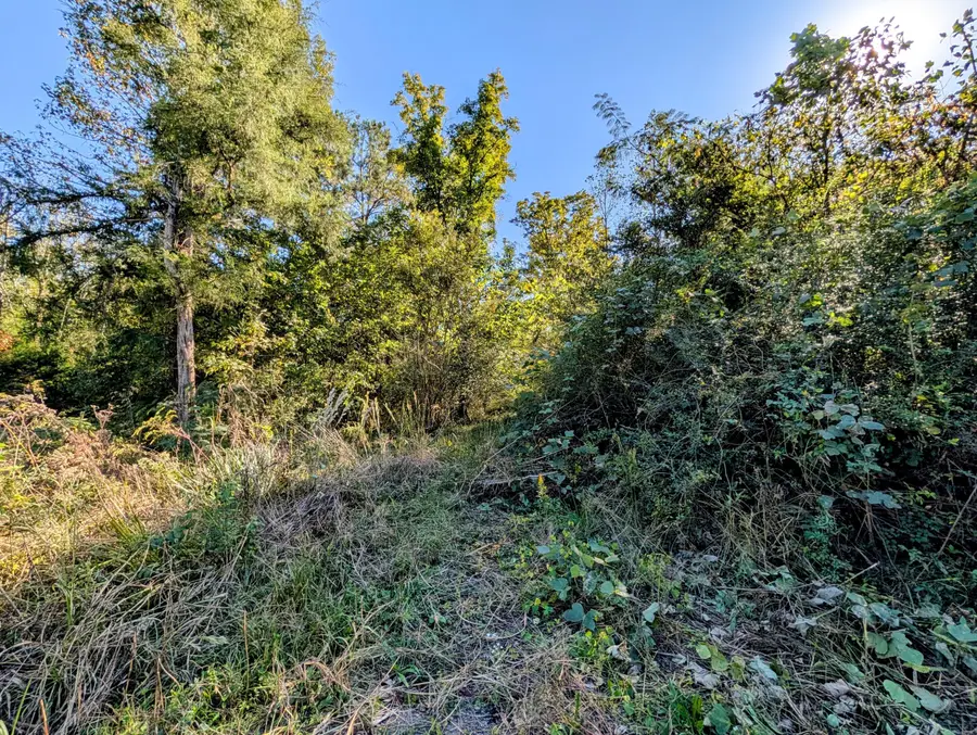 378 Ladd Springs Road Se, Cleveland, TN 37323 - #3