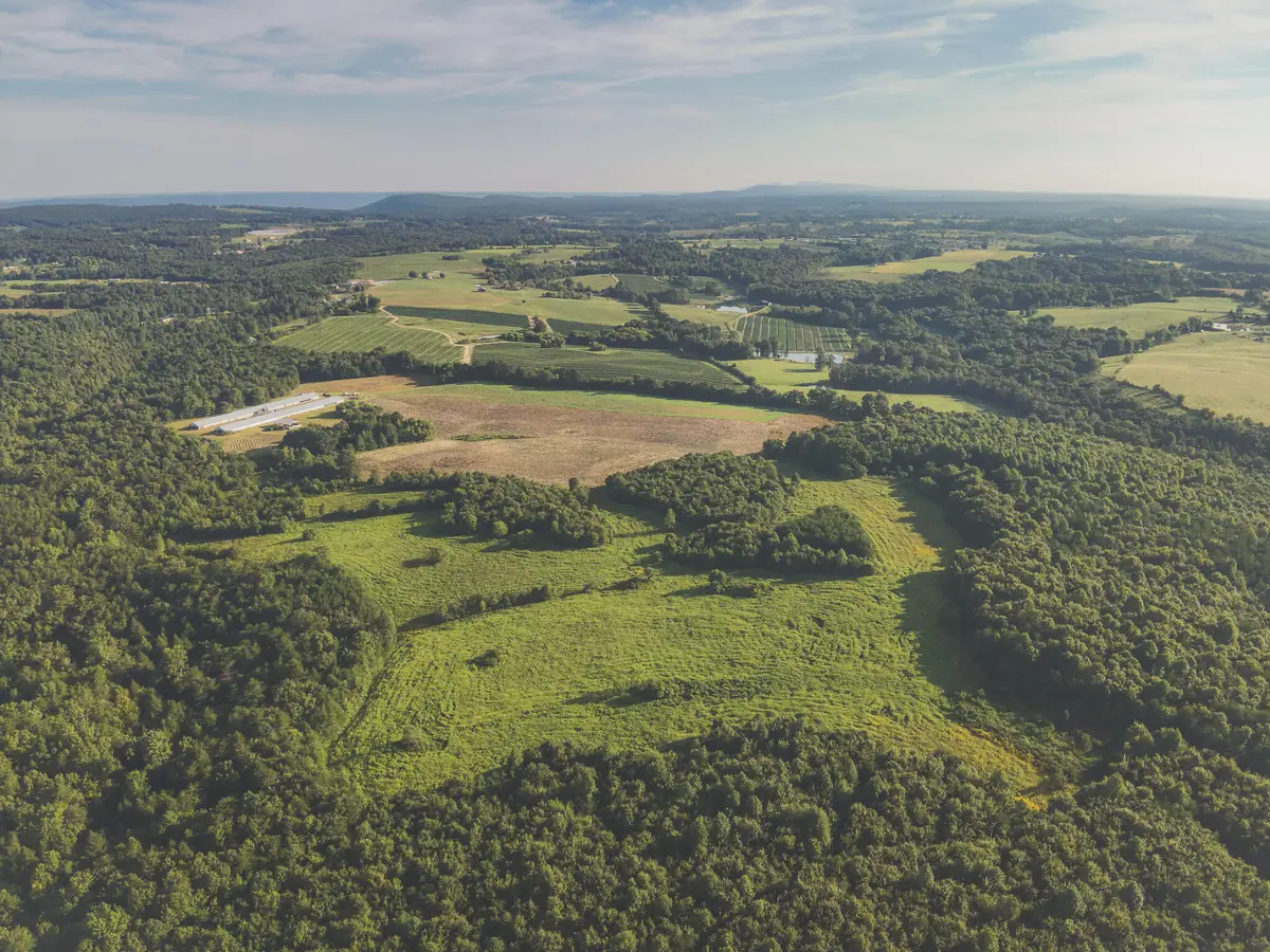 000 New Harmony Road, Pikeville, TN 37367 - #1