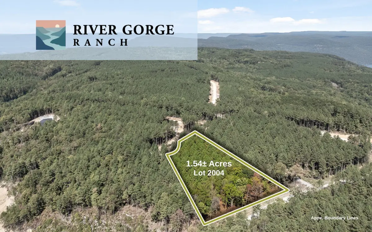 Lot 2004 Stardust Court, Guild, TN 37340 - #1