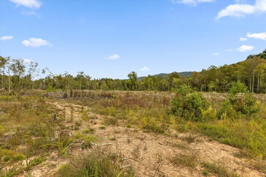 Tract 7 Beavers Road, Rocky Face, GA 30740 - #3