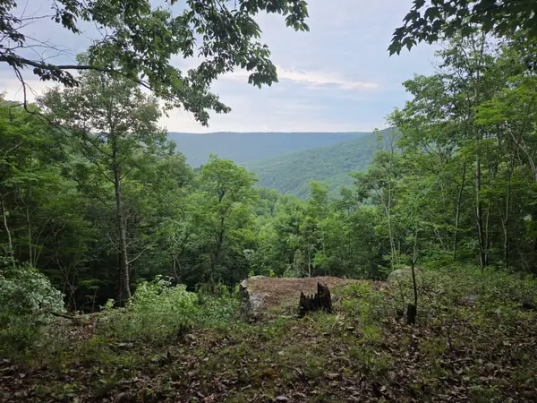 465 Cross Creek Trail, South Pittsburg, TN 37380