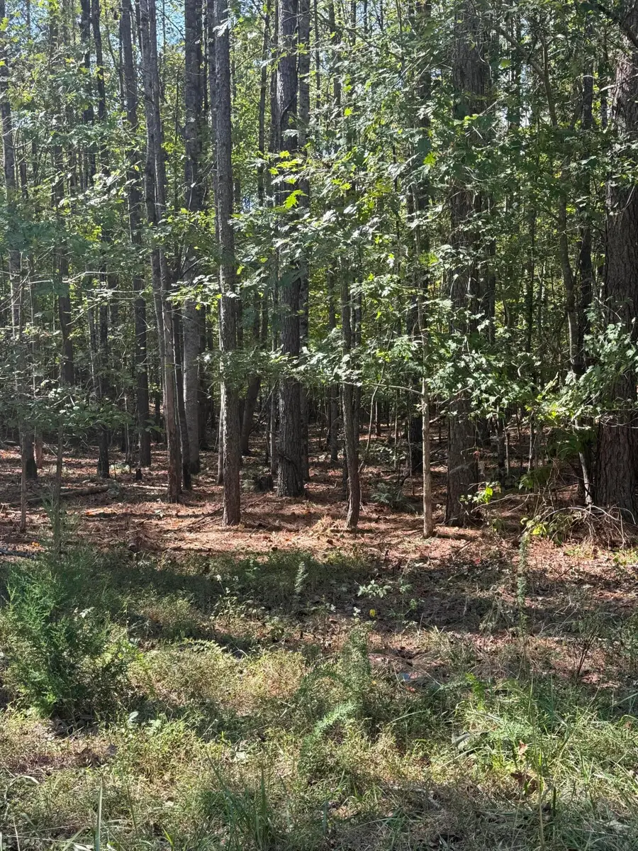 465 Cross Creek Trail, South Pittsburg, TN 37380 - #3