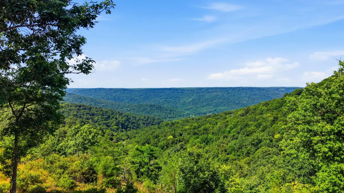 623 Coyote Trail, Spencer, TN 38585 - #1