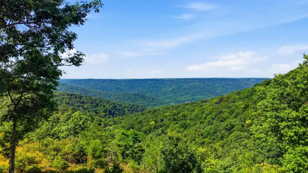 623 Coyote Trail, Spencer, TN 38585